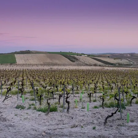 La Ermita Fjhomefj * Херес-де-ла-Фронтера